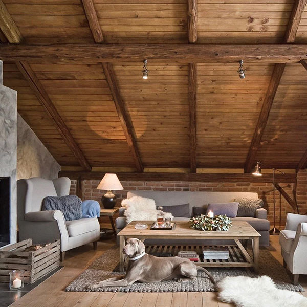 Основная Основная